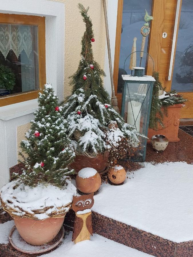 Haus Huber Apartments Altenmarkt im Pongau Eksteriør billede