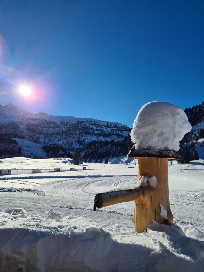 Haus Huber Apartments Altenmarkt im Pongau Eksteriør billede